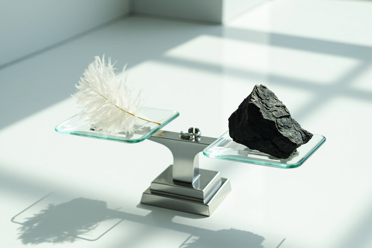 Rodzinna kłótnia czy rażąca niewdzięczność